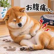 ヒメ日記 2026/10/19 20:35 投稿 銀河【ぎんが】 丸妻 西船橋店