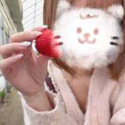 ヒメ日記 2025/06/01 12:07 投稿 くるみ E+アイドルスクール