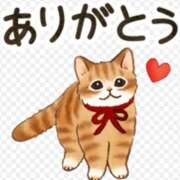 ヒメ日記 2026/09/14 22:08 投稿 エリカ 煌-kirameki-