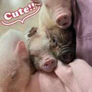 ヒメ日記 2025/06/09 19:57 投稿 もみじ【MTX】 ソープランド AQUA（アクア）