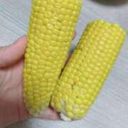 ヒメ日記 2025/08/29 12:48 投稿 もみじ【MTX】 ソープランド AQUA（アクア）