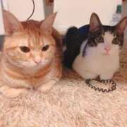 ヒメ日記 2025/08/30 00:28 投稿 もみじ【MTX】 ソープランド AQUA（アクア）