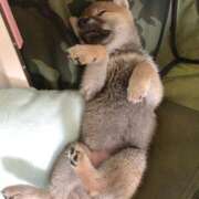 ヒメ日記 2025/09/15 22:18 投稿 もみじ【MTX】 ソープランド AQUA（アクア）