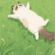 ヒメ日記 2025/09/26 18:28 投稿 もみじ【MTX】 ソープランド AQUA（アクア）