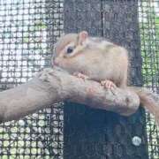 ヒメ日記 2025/10/29 23:08 投稿 もみじ【MTX】 ソープランド AQUA（アクア）