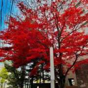 ヒメ日記 2025/11/09 18:08 投稿 もみじ【MTX】 ソープランド AQUA（アクア）