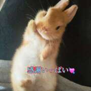 ヒメ日記 2025/07/14 17:06 投稿 椿 すず こあくまな熟女たち 鶯谷・日暮里店(KOAKUMAグループ)