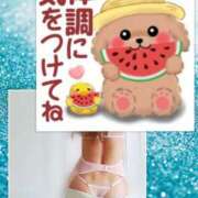 ヒメ日記 2025/10/20 07:41 投稿 椿 すず こあくまな熟女たち 鶯谷・日暮里店(KOAKUMAグループ)