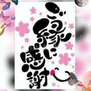 ヒメ日記 2025/11/17 19:47 投稿 椿 すず こあくまな熟女たち 鶯谷・日暮里店(KOAKUMAグループ)