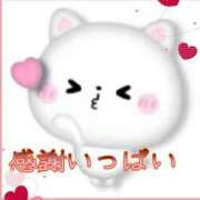 ヒメ日記 2026/02/04 15:34 投稿 椿 すず こあくまな熟女たち 鶯谷・日暮里店(KOAKUMAグループ)