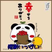 ヒメ日記 2025/06/02 18:09 投稿 椿 すず こあくまな熟女たち 上野・御徒町店 (KOAKUMAグループ)