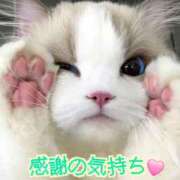 ヒメ日記 2025/06/19 15:45 投稿 椿 すず こあくまな熟女たち 上野・御徒町店 (KOAKUMAグループ)