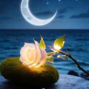 ヒメ日記 2025/06/26 21:30 投稿 椿 すず こあくまな熟女たち 上野・御徒町店 (KOAKUMAグループ)