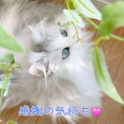 ヒメ日記 2025/07/23 15:42 投稿 椿 すず こあくまな熟女たち 上野・御徒町店 (KOAKUMAグループ)