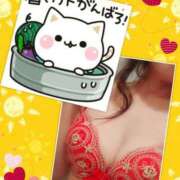 ヒメ日記 2025/07/29 06:19 投稿 椿 すず こあくまな熟女たち 上野・御徒町店 (KOAKUMAグループ)