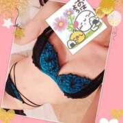 ヒメ日記 2025/09/30 06:05 投稿 椿 すず こあくまな熟女たち 上野・御徒町店 (KOAKUMAグループ)