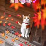 ヒメ日記 2025/11/03 16:12 投稿 椿 すず こあくまな熟女たち 上野・御徒町店 (KOAKUMAグループ)