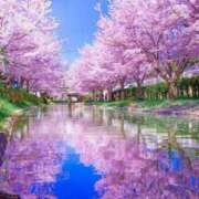 椿 すず 暫くお休み (* ´ ▽ ` *)ﾉ こあくまな熟女たち 上野・御徒町店 (KOAKUMAグループ)