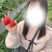 ヒメ日記 2026/02/19 13:09 投稿 ゆうみ サティアンまーと