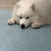 ヒメ日記 2026/05/05 19:32 投稿 ゆうみ サティアンまーと