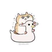 ヒメ日記 2025/09/02 17:27 投稿 ゆき スピード日本橋店