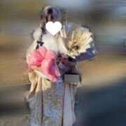 ヒメ日記 2026/01/15 17:31 投稿 ゆき スピード日本橋店