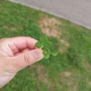 ヒメ日記 2025/05/22 21:52 投稿 桜川【さくらがわ】 丸妻 西船橋店