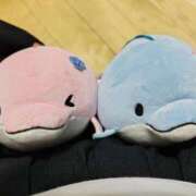 ヒメ日記 2025/06/08 21:05 投稿 桜川【さくらがわ】 丸妻 西船橋店