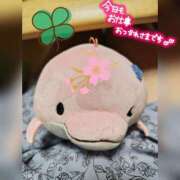 ヒメ日記 2025/06/10 18:19 投稿 桜川【さくらがわ】 丸妻 西船橋店