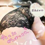 ヒメ日記 2025/06/11 05:28 投稿 桜川【さくらがわ】 丸妻 西船橋店