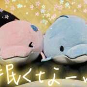 ヒメ日記 2025/06/12 00:33 投稿 桜川【さくらがわ】 丸妻 西船橋店