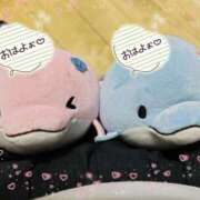 ヒメ日記 2025/06/13 06:09 投稿 桜川【さくらがわ】 丸妻 西船橋店