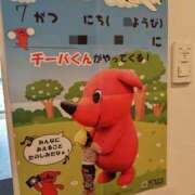 ヒメ日記 2025/06/21 06:52 投稿 桜川【さくらがわ】 丸妻 西船橋店