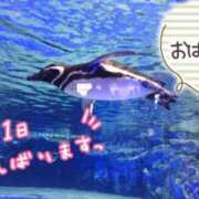 ヒメ日記 2025/06/24 05:17 投稿 桜川【さくらがわ】 丸妻 西船橋店