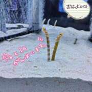 ヒメ日記 2025/06/25 05:26 投稿 桜川【さくらがわ】 丸妻 西船橋店