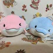 ヒメ日記 2025/06/26 00:41 投稿 桜川【さくらがわ】 丸妻 西船橋店