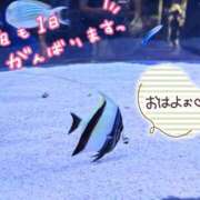 ヒメ日記 2025/06/26 06:26 投稿 桜川【さくらがわ】 丸妻 西船橋店