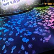 ヒメ日記 2025/06/26 22:03 投稿 桜川【さくらがわ】 丸妻 西船橋店