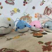 ヒメ日記 2025/06/27 00:43 投稿 桜川【さくらがわ】 丸妻 西船橋店