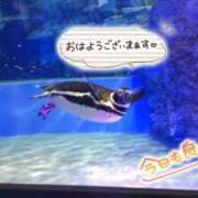 ヒメ日記 2025/06/27 04:26 投稿 桜川【さくらがわ】 丸妻 西船橋店