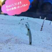 ヒメ日記 2025/06/28 06:19 投稿 桜川【さくらがわ】 丸妻 西船橋店