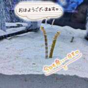 ヒメ日記 2025/06/30 06:42 投稿 桜川【さくらがわ】 丸妻 西船橋店