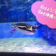 ヒメ日記 2025/07/04 04:56 投稿 桜川【さくらがわ】 丸妻 西船橋店