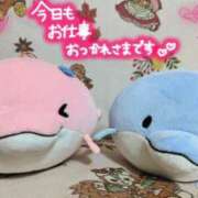 ヒメ日記 2025/07/04 21:20 投稿 桜川【さくらがわ】 丸妻 西船橋店