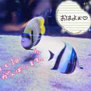 ヒメ日記 2025/07/06 05:47 投稿 桜川【さくらがわ】 丸妻 西船橋店