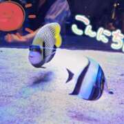 ヒメ日記 2025/07/06 10:09 投稿 桜川【さくらがわ】 丸妻 西船橋店