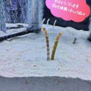 ヒメ日記 2025/07/08 04:24 投稿 桜川【さくらがわ】 丸妻 西船橋店