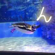 ヒメ日記 2025/07/13 00:48 投稿 桜川【さくらがわ】 丸妻 西船橋店