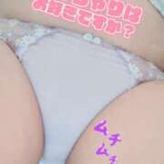 ヒメ日記 2025/07/13 08:16 投稿 桜川【さくらがわ】 丸妻 西船橋店