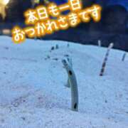 ヒメ日記 2025/07/19 02:20 投稿 桜川【さくらがわ】 丸妻 西船橋店